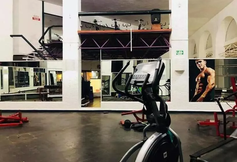 Fotos del hotel Ixtapa Palace:  4