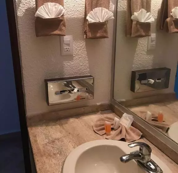 Fotos del hotel Ixtapa Palace:  6