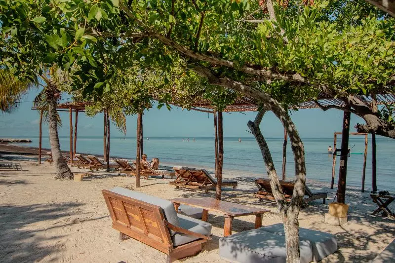 Fotos del hotel Las Nubes De Holbox:  4