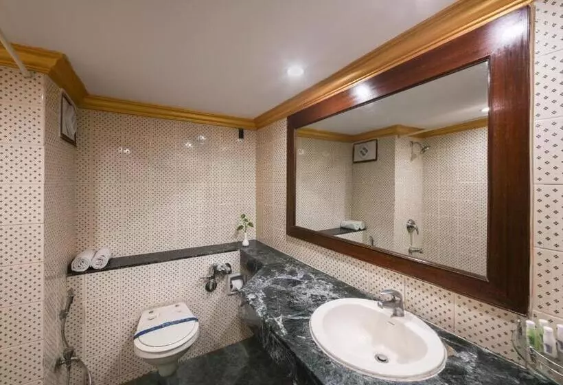 Fotos del hotel Nahar Heritage:  6