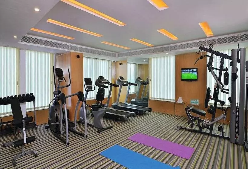 Fotos del hotel Park Inn Gurgaon:  8