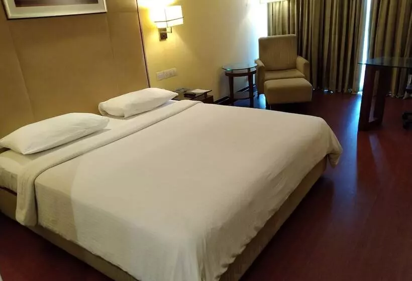 Fotos del hotel Park Inn Gurgaon:  18