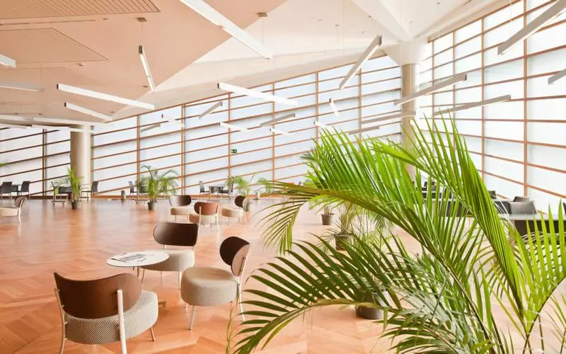 Fotos del hotel Reina Petronila:  14