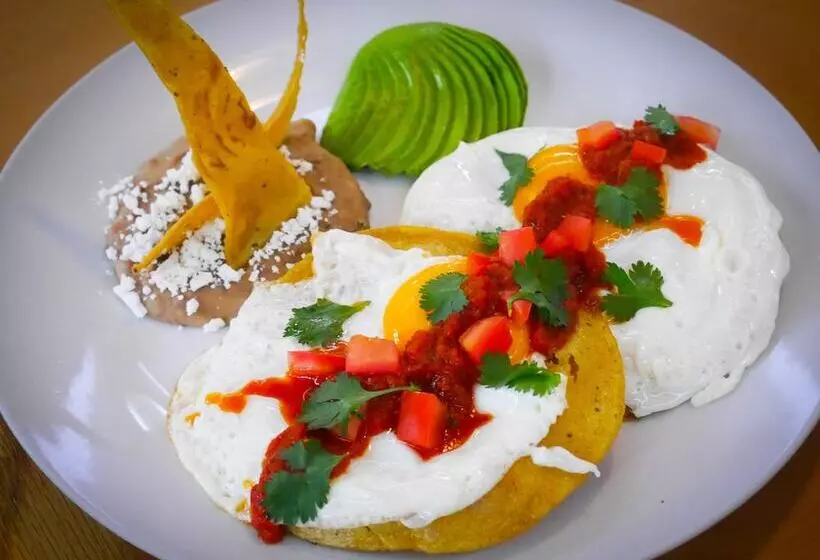 Fotos del hotel San Diego:  5