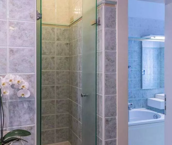 Fotos del hotel Suite Hotel Elite:  7