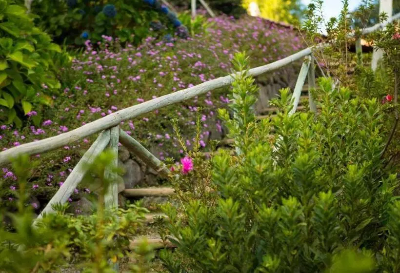 Fotos del hotel Atrio:  7