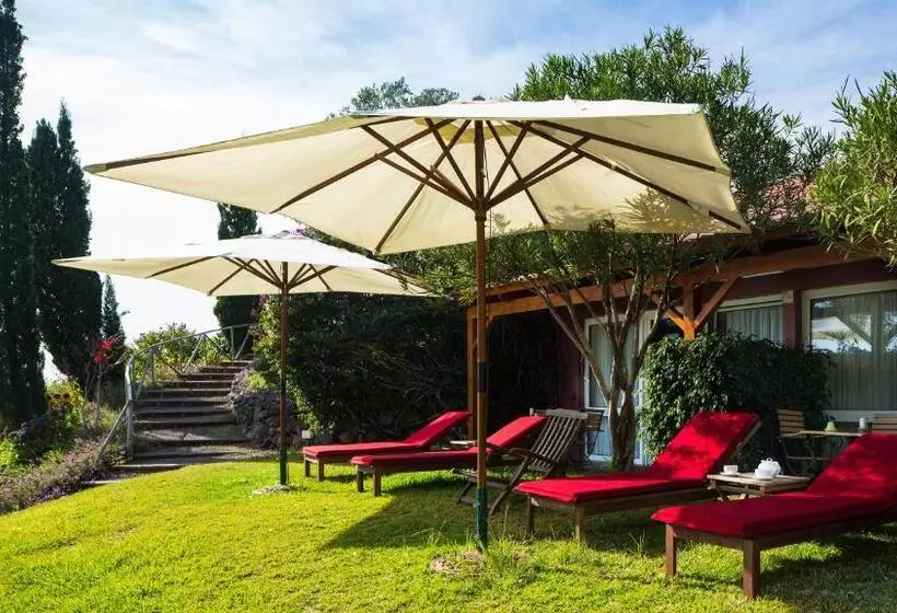 Fotos del hotel Atrio:  5