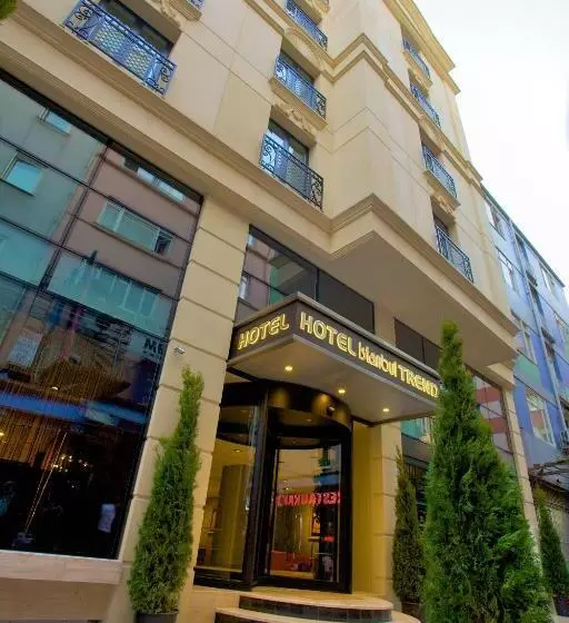 Fotos del hotel Istanbul Trend:  16