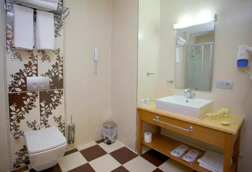 Fotos del hotel Istanbul Trend:  9