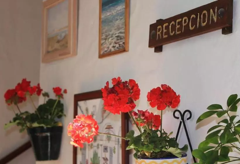 Fotos del hotel Almadraba Conil:  3