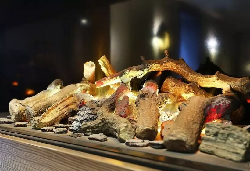 Fotos del hotel Concortel:  7