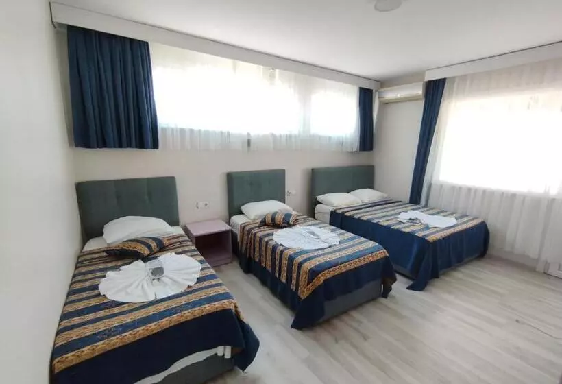 Fotos del hotel Anadolu:  13