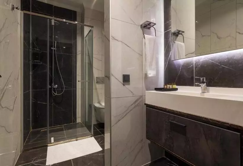 Fotos del hotel Ankara Royal:  9