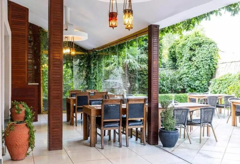 Fotos del hotel Elite Hotel Dragos:  5