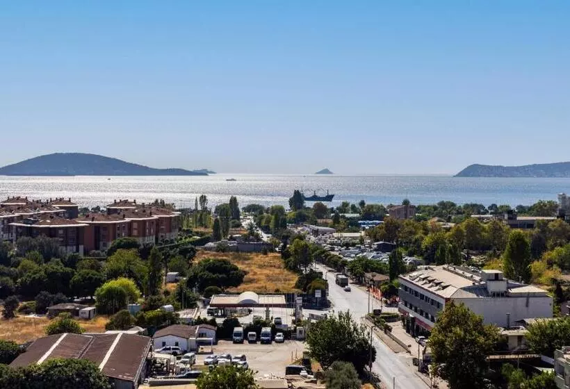 Fotos del hotel Elite Hotel Dragos:  7