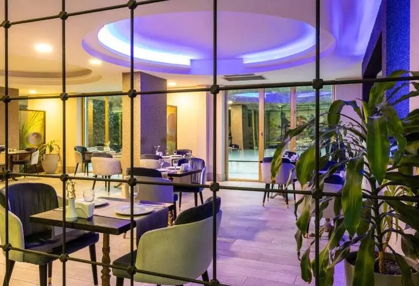 Fotos del hotel Elite Hotel Dragos:  3