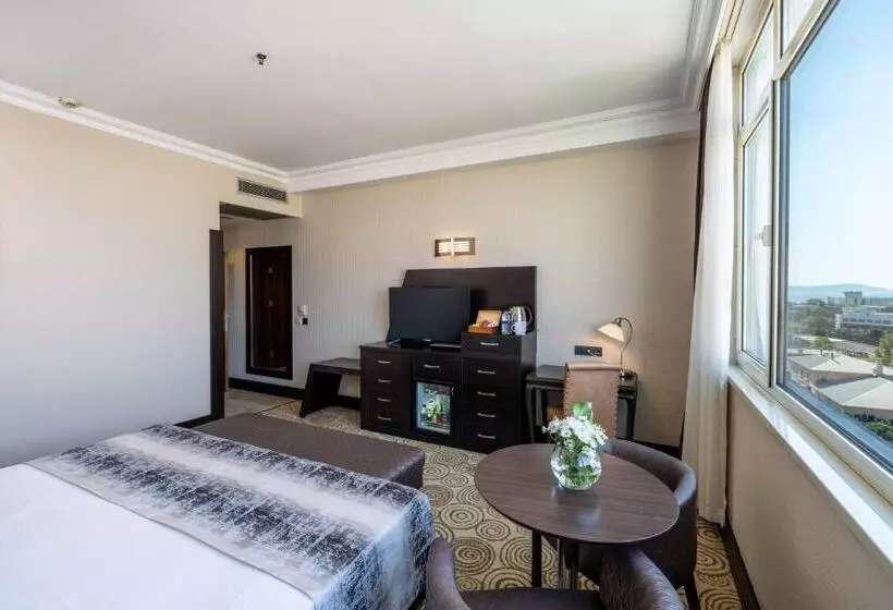 Fotos del hotel Elite Hotel Dragos:  21