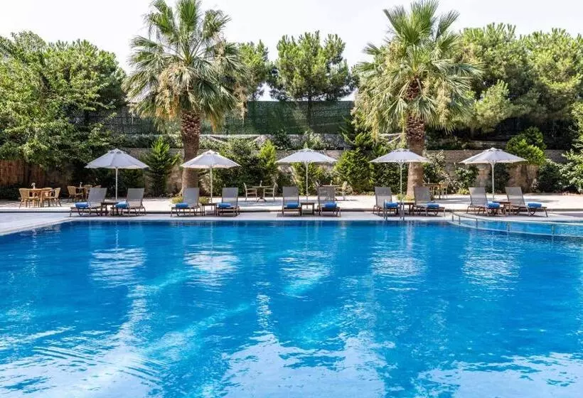 Fotos del hotel Elite Hotel Dragos:  13