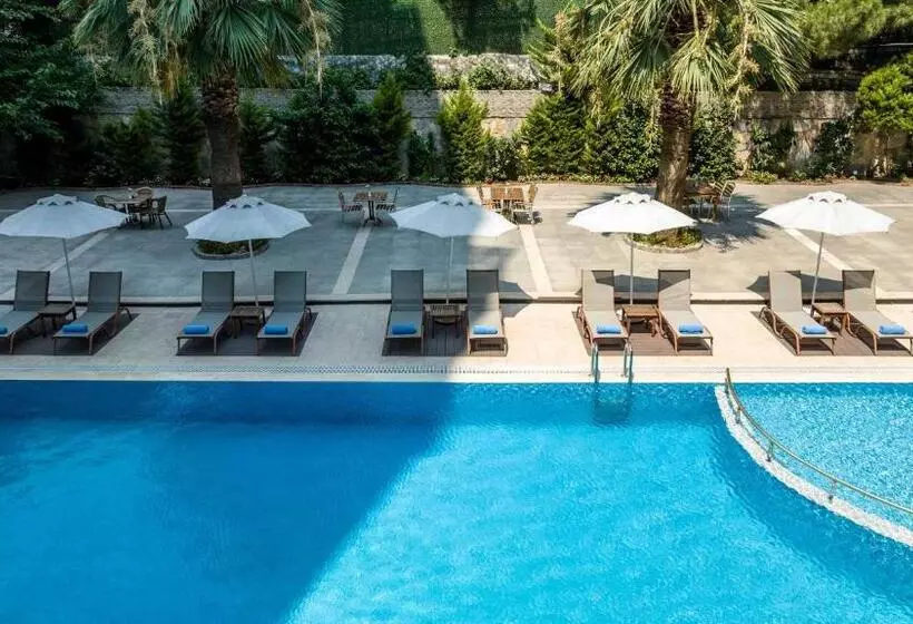 Fotos del hotel Elite Hotel Dragos:  2