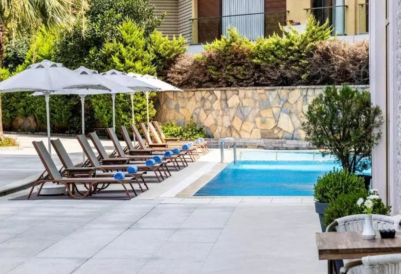 Fotos del hotel Elite Hotel Dragos:  19