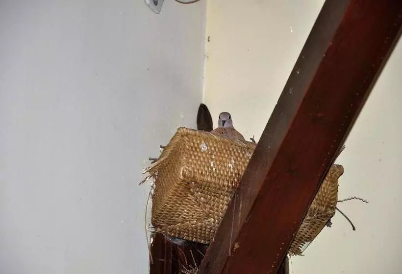 Fotos del hotel Eski Masal   Special Class:  7