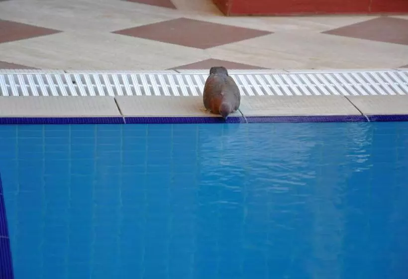 Fotos del hotel Eski Masal   Special Class:  2