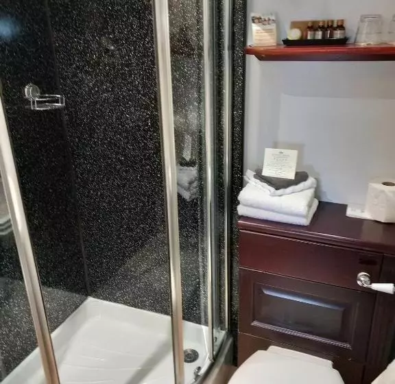 Fotos del hotel Mansion House:  4