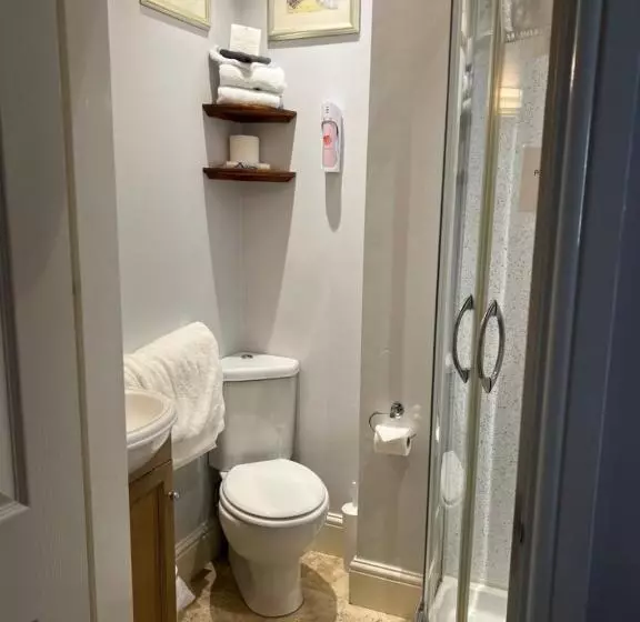 Fotos del hotel Mansion House:  8