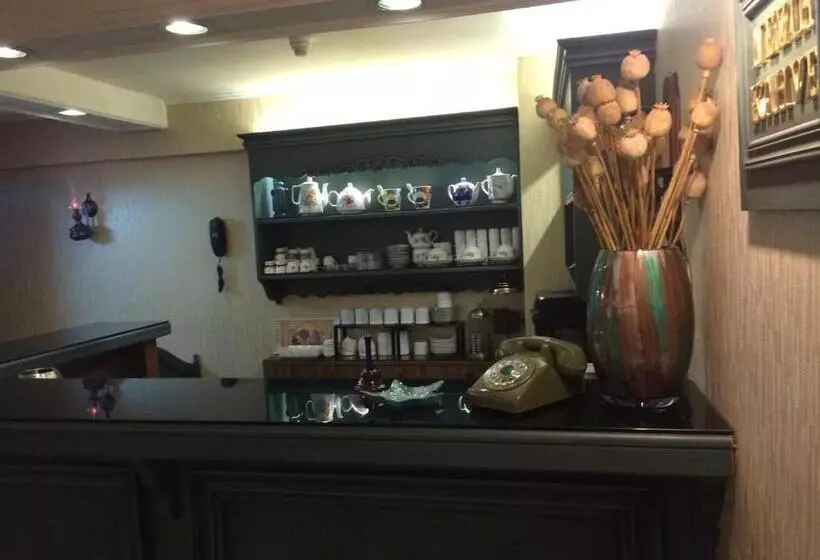 Fotos del hotel Nezih Istanbul:  3