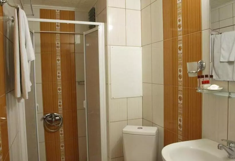 Fotos del hotel Nezih Istanbul:  5