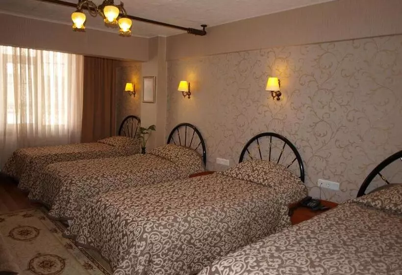 Fotos del hotel Nezih Istanbul:  10