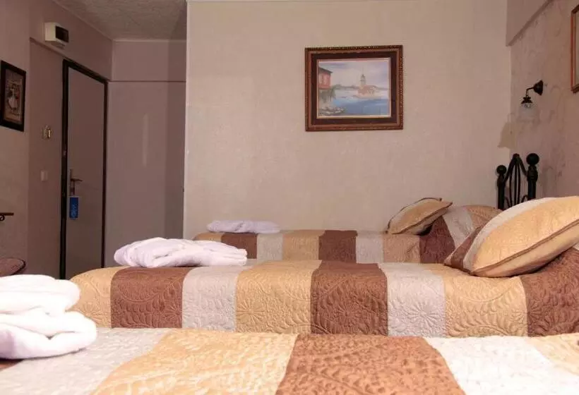 Fotos del hotel Nezih Istanbul:  23