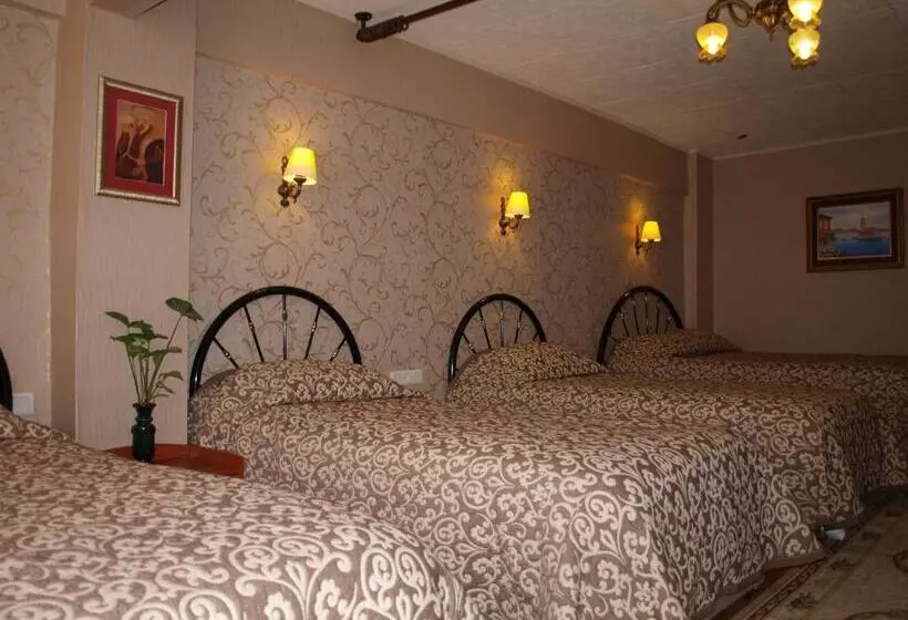 Fotos del hotel Nezih Istanbul:  21