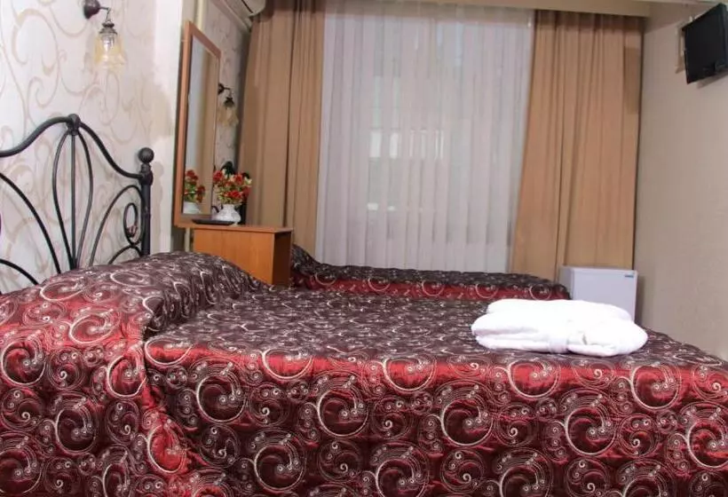 Fotos del hotel Nezih Istanbul:  19