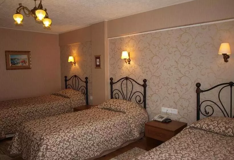 Fotos del hotel Nezih Istanbul:  15