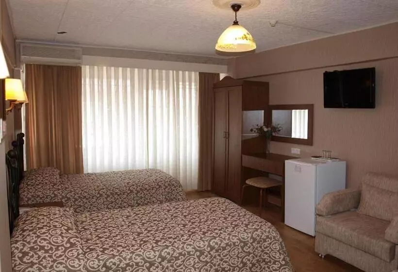 Fotos del hotel Nezih Istanbul:  12