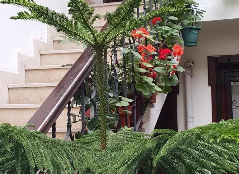 Fotos del hotel Villa Sphendone Suites:  7