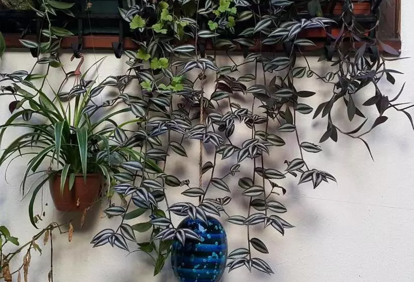 Fotos del hotel Villa Sphendone Suites:  4