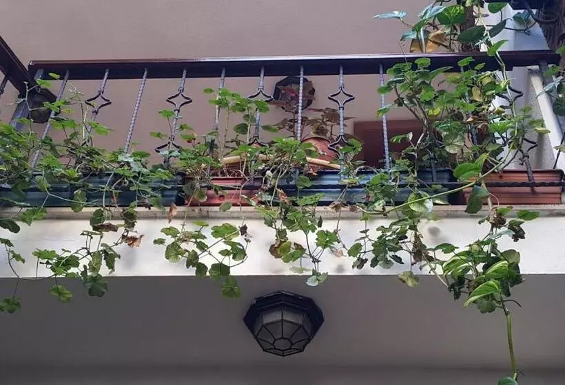 Fotos del hotel Villa Sphendone Suites:  2