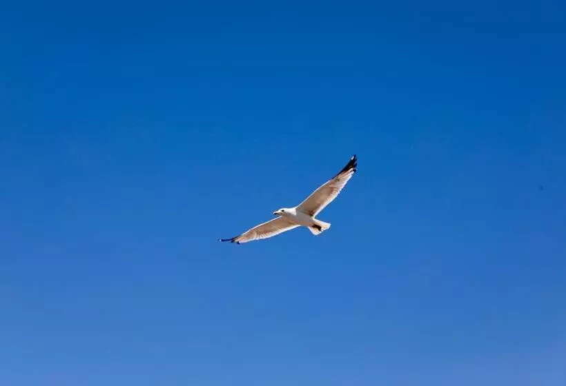 Fotos del hotel Villa Sphendone Suites:  14