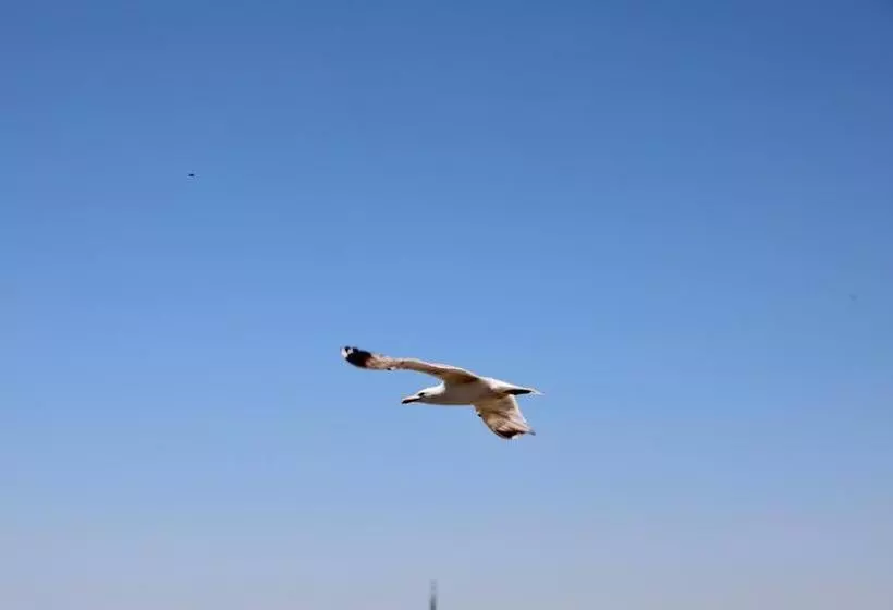 Fotos del hotel Villa Sphendone Suites:  12