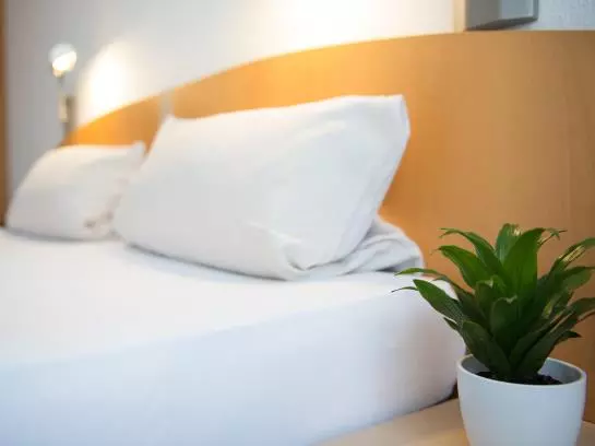 Fotos del hotel Lemp:  25