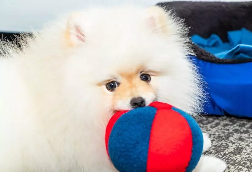 Fotos del hotel Ghl Collection 93:  11