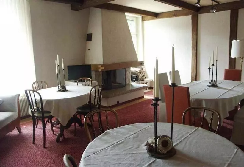 Fotos del hotel Harder Minerva:  20