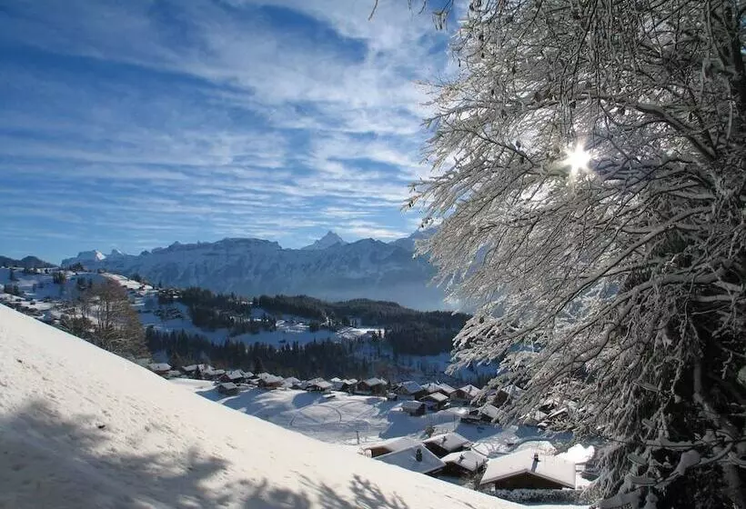 Fotos del hotel Harder Minerva:  24