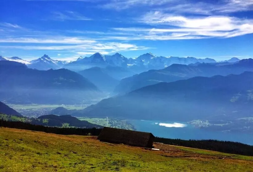 Fotos del hotel Harder Minerva:  7