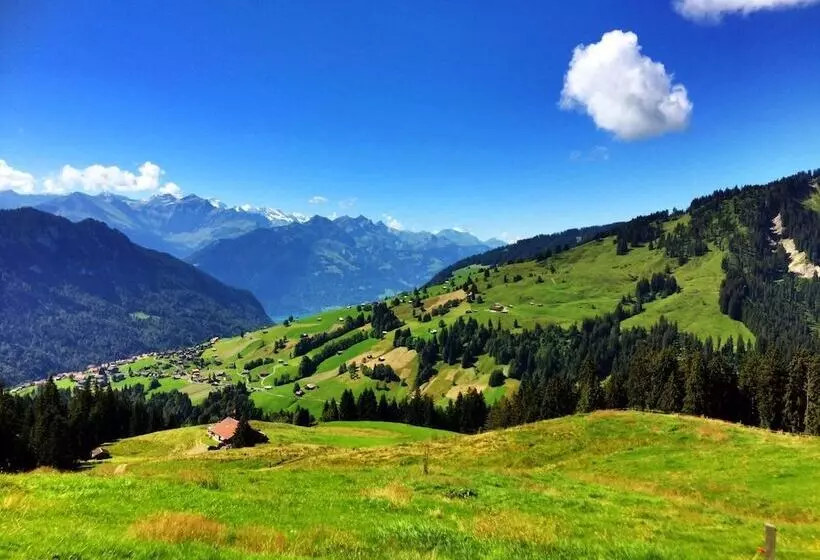 Fotos del hotel Harder Minerva:  12