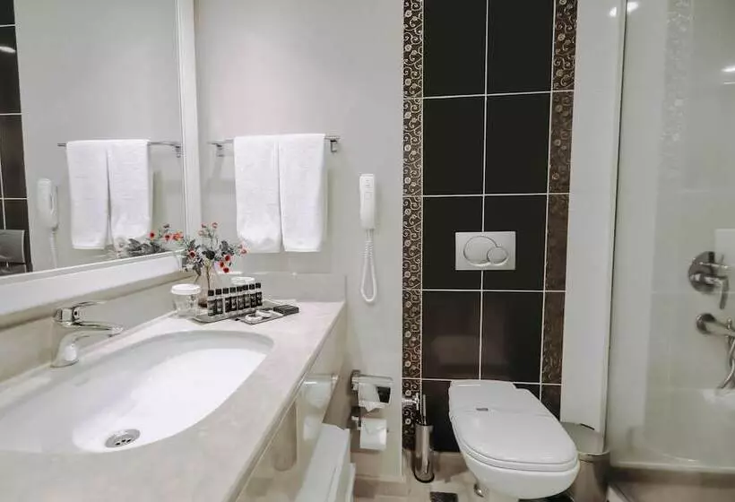 Fotos del hotel New Park:  4