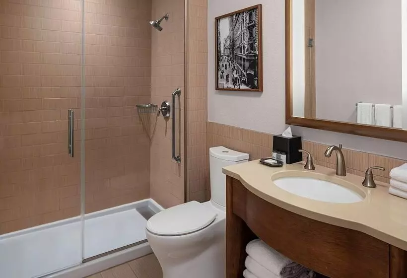 Fotos del hotel Sheraton Tribeca New York:  5