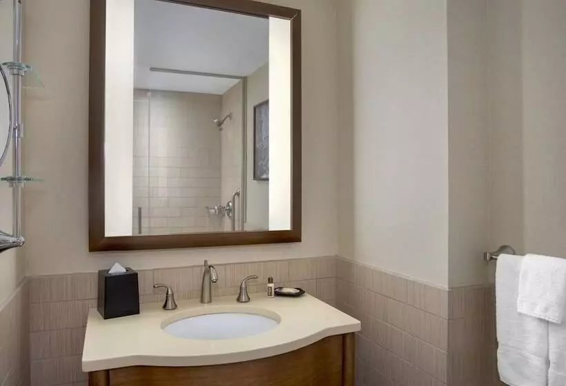 Fotos del hotel Sheraton Tribeca New York:  11